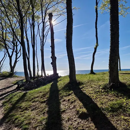 Mario Leśny Klif 1 *