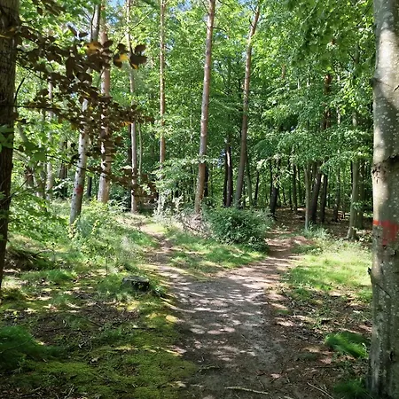 Mario Lesny Klif 1 * Debina (Ustka)