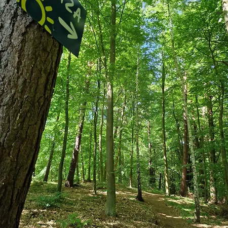 Apartament Mario Leśny Klif 1 Debina (Ustka)