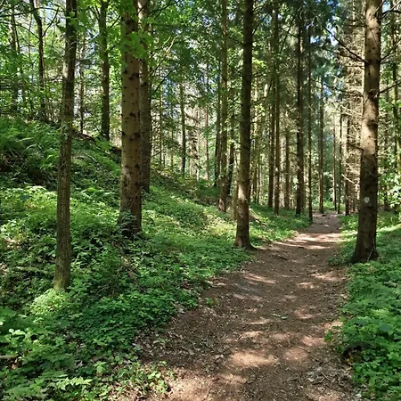 Mario Leśny Klif 1 Apartament Debina (Ustka)