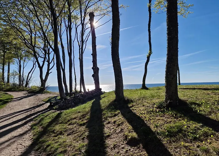 Mario Lesny Klif 1 *