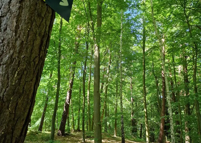 Lägenhet Mario Lesny Klif 1 Debina (Ustka)